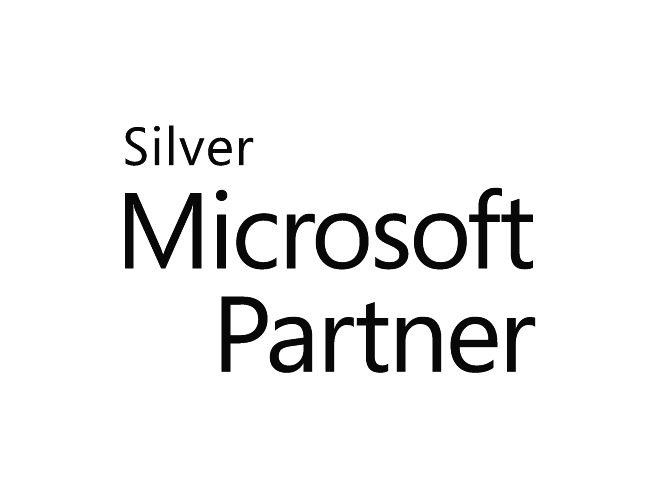 Silver Microsoft Partner logo in a simple black font.